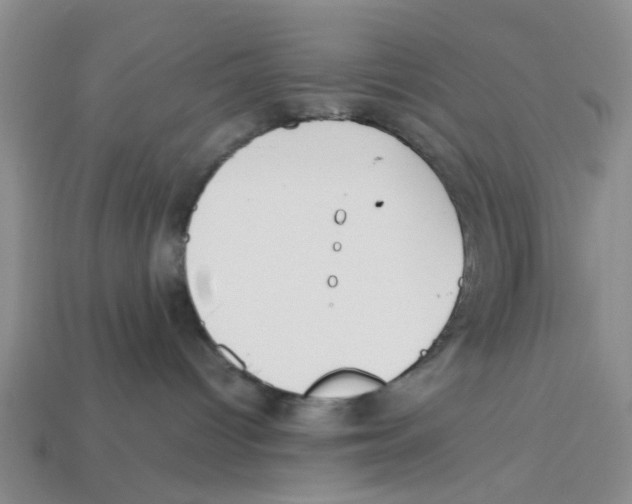 X0000113170096200910021531