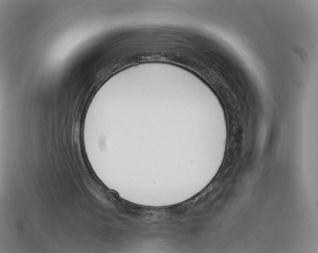 X0000113170099200910021531