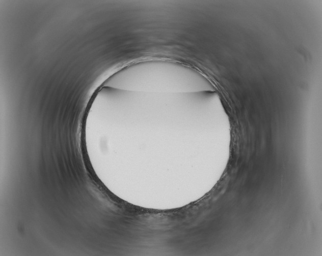 X0000113170100200910021531