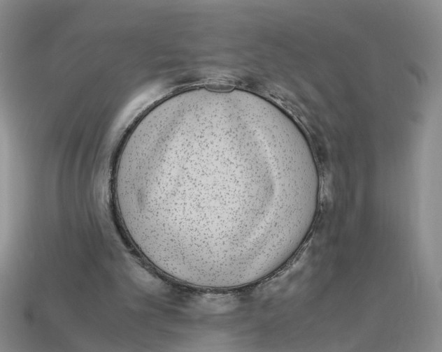 X0000113170101200910021531