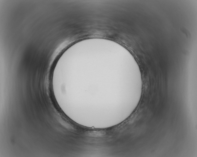 X0000113170102200910021531