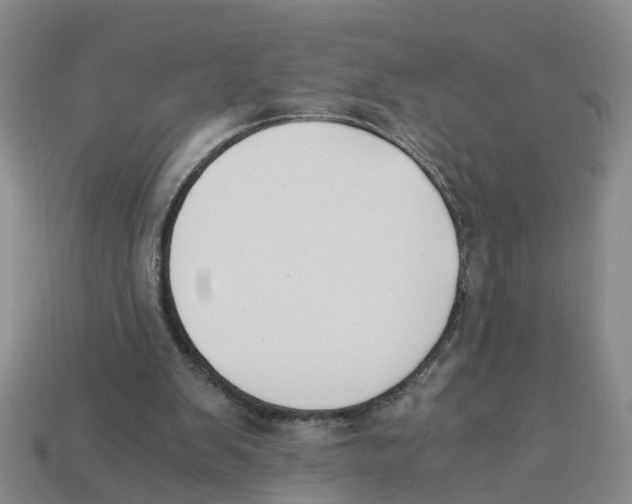 X0000113170103200910021531