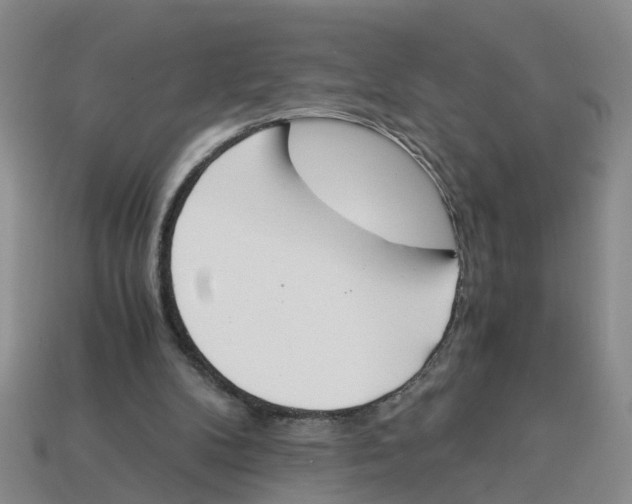 X0000113170104200910021531