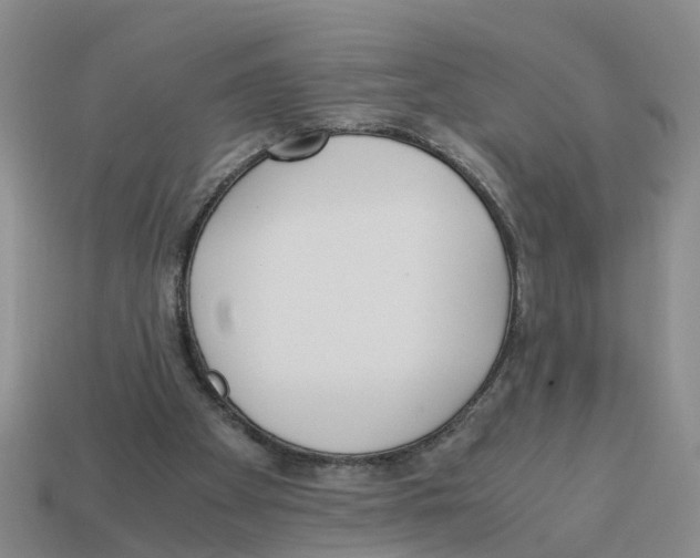 X0000113170105200910021531