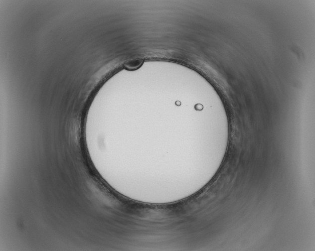 X0000113170107200910021530