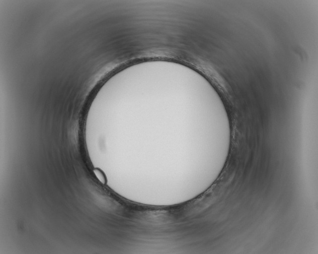 X0000113170108200910021530