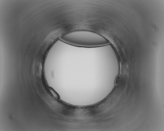 X0000113170109200910021530