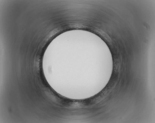 X0000113170111200910021530
