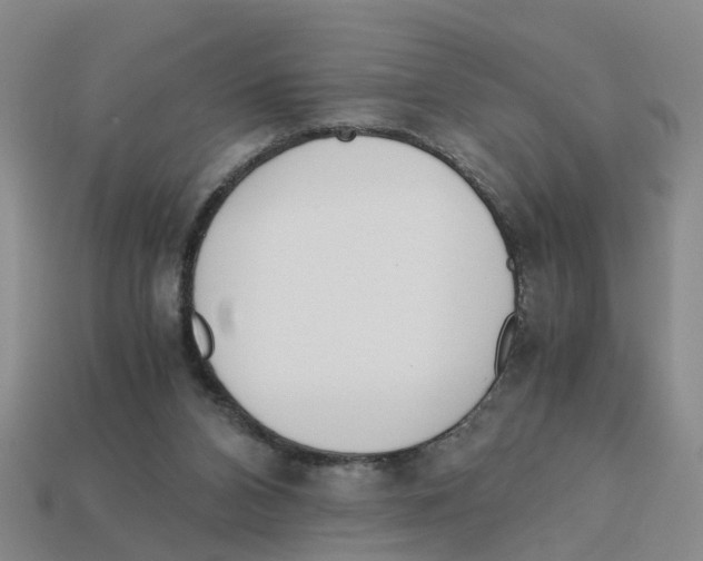 X0000113170112200910021530