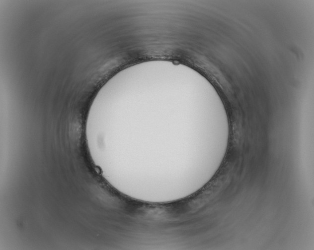 X0000113170113200910021530