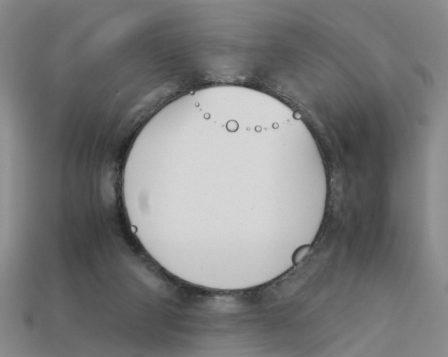 X0000113170114200910021530