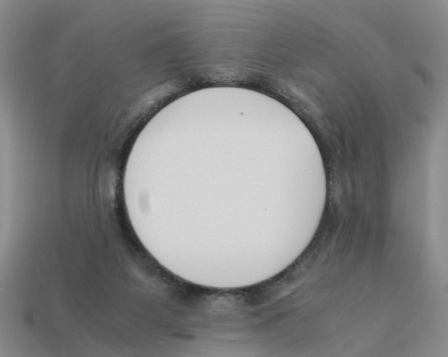 X0000113170115200910021530
