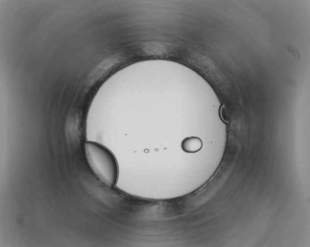 X0000113170116200910021530