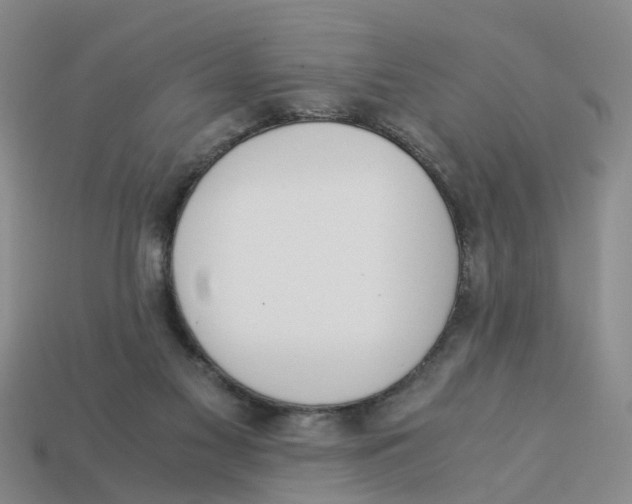 X0000113170117200910021530