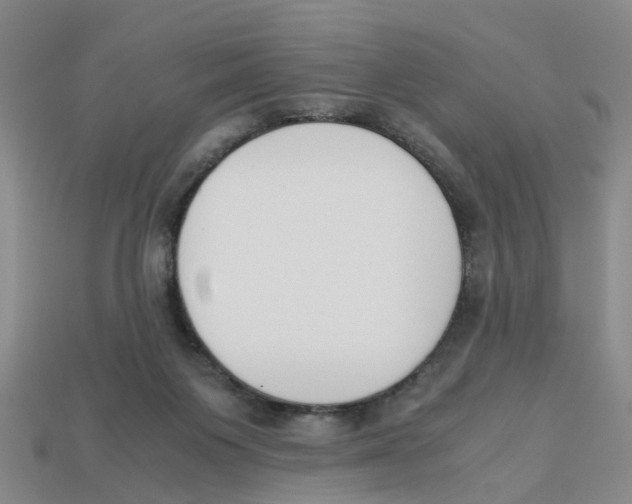 X0000113170119200910021530
