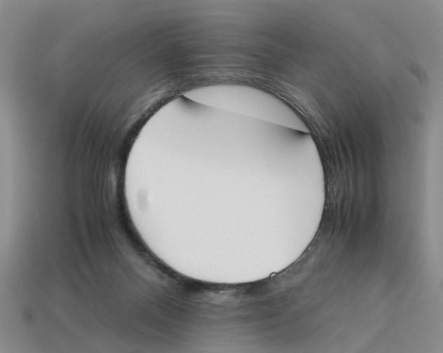 X0000113170120200910021530