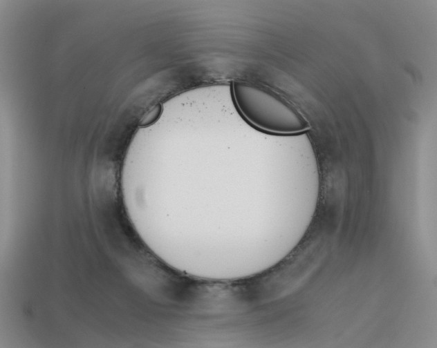 X0000113170121200910021530