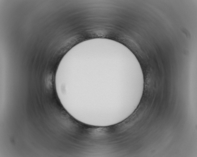 X0000113170122200910021530