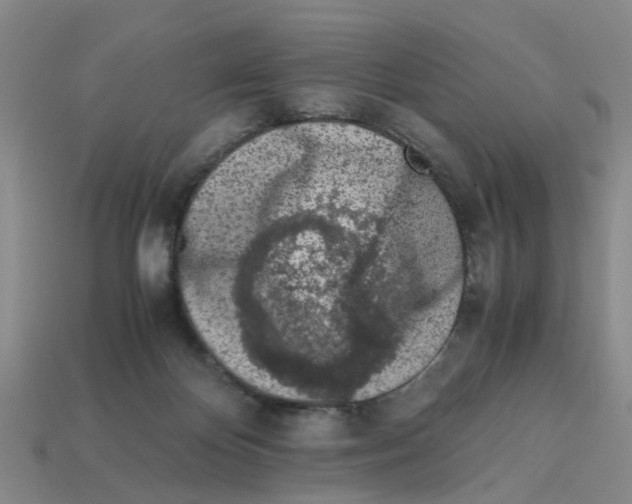 X0000113170124200910021530