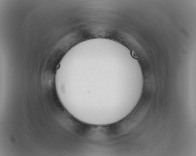X0000113170125200910021530