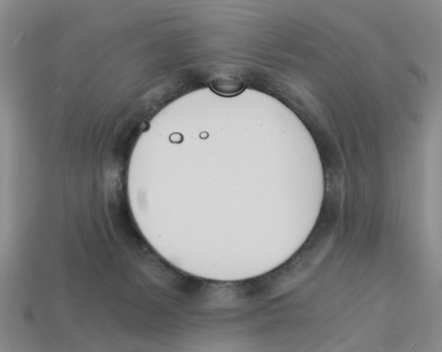 X0000113170127200910021530