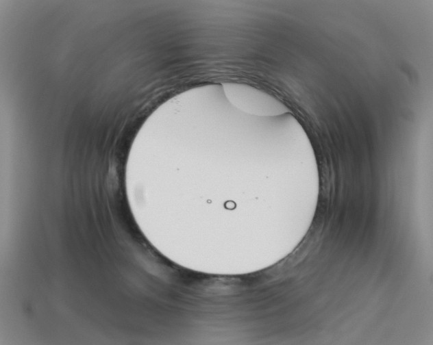 X0000113170128200910021530