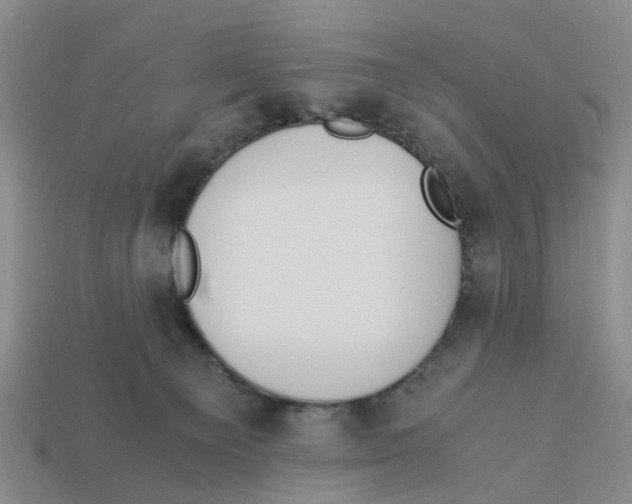 X0000113170129200910021530