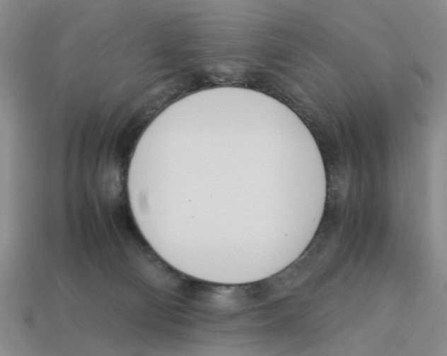 X0000113170130200910021530