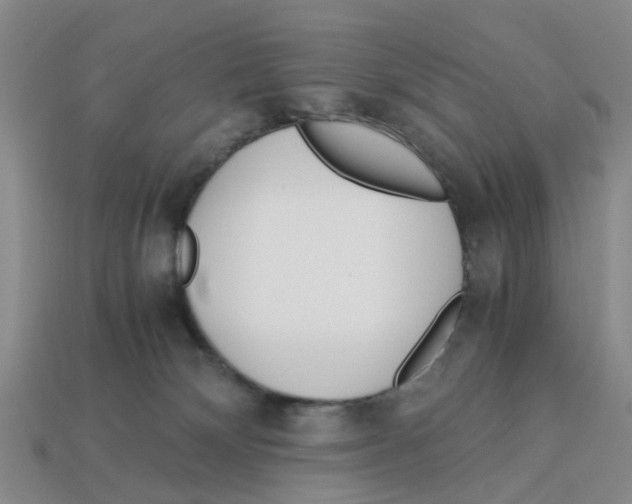 X0000113170132200910021530