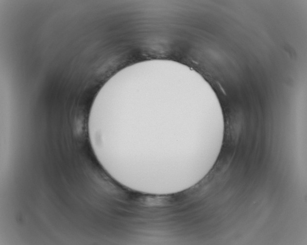 X0000113170134200910021530