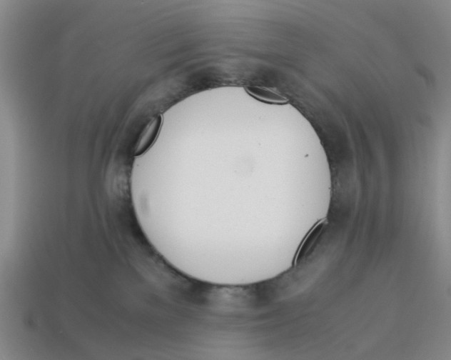X0000113170137200910021530