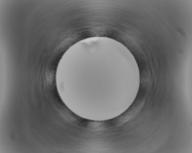 X0000113170139200910021530