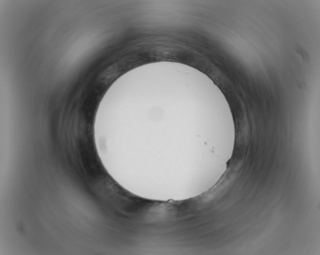 X0000113170140200910021530