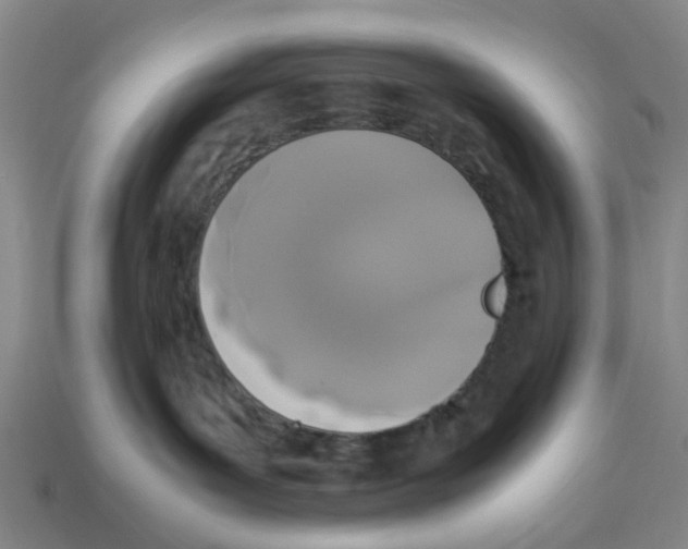 X0000113170143200910021530