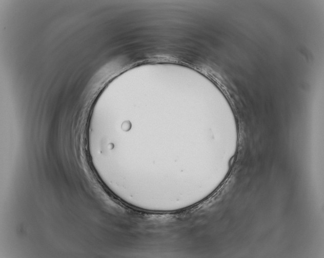 X0000113170145200910021529