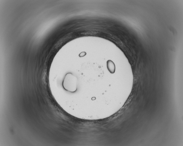 X0000113170146200910021529