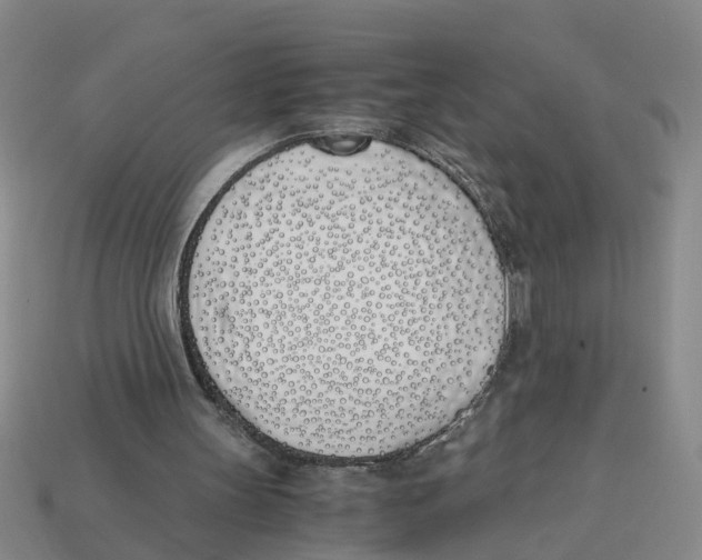 X0000113170147200910021529