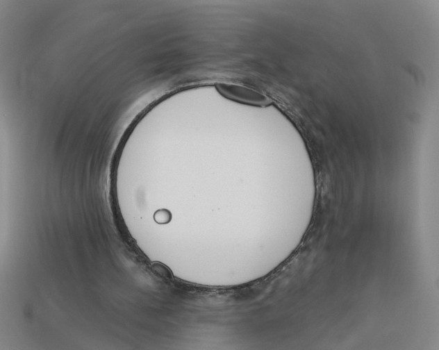 X0000113170148200910021529