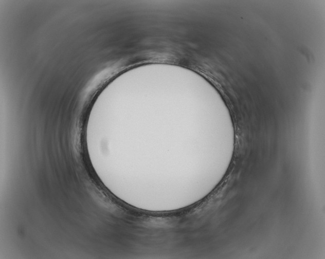 X0000113170149200910021529