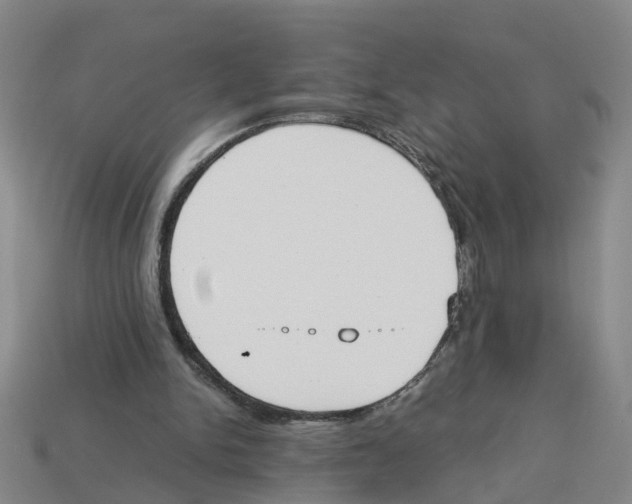 X0000113170150200910021529