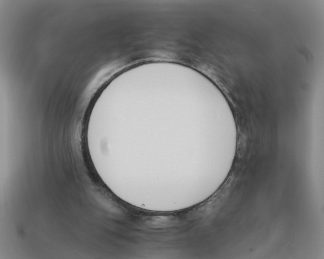 X0000113170151200910021529