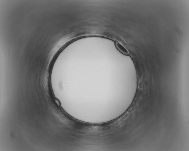 X0000113170152200910021529