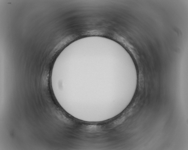 X0000113170153200910021529