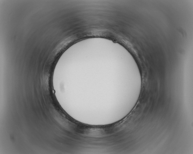 X0000113170154200910021530