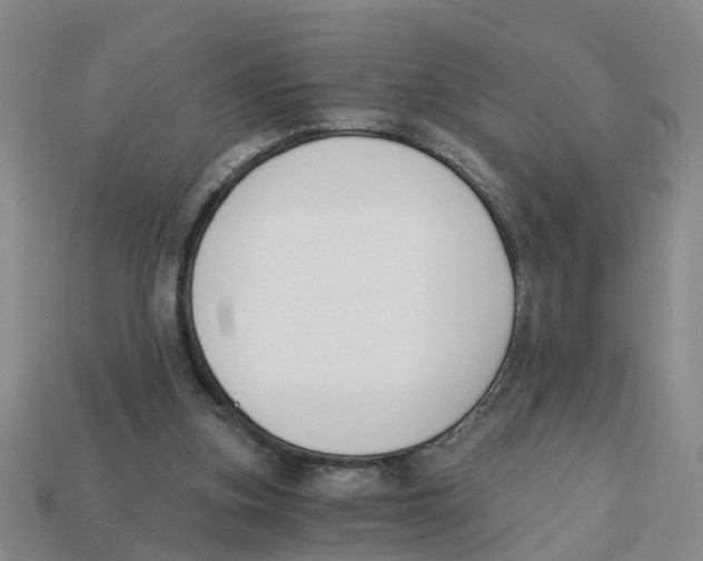 X0000113170155200910021530