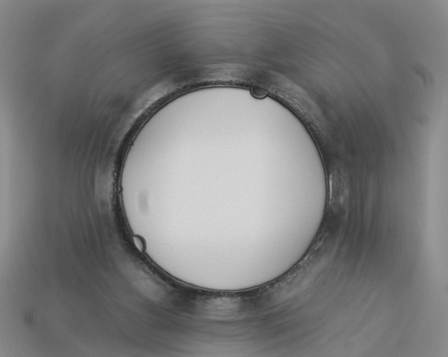 X0000113170156200910021530