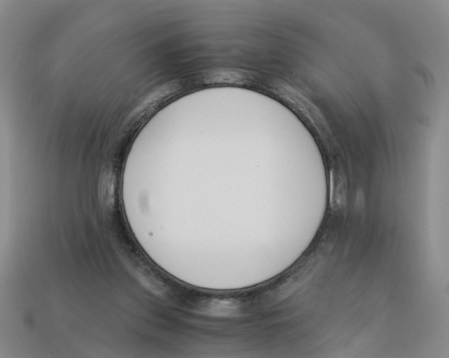 X0000113170157200910021530