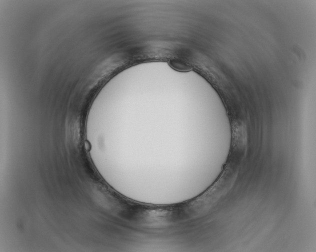 X0000113170158200910021530