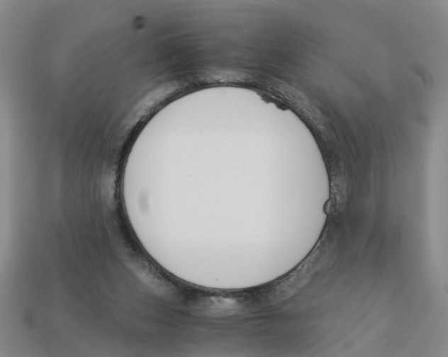X0000113170159200910021530