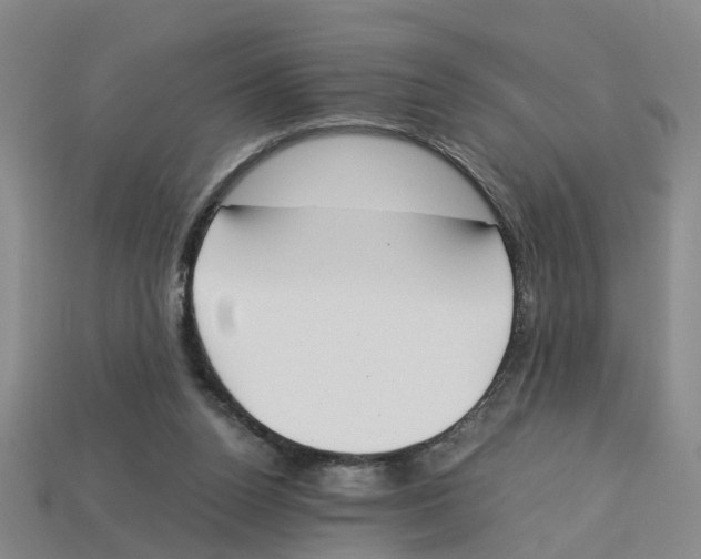 X0000113170160200910021530